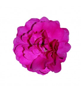 Rosier Décorosier Emera®