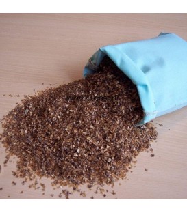 BETULA  pendula ou verrucosa / GRAINE BOULEAU BLANC