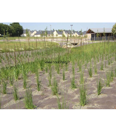 Paillage HORTAFLEX
