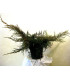 JUNIPERUS pfitzeriana Aurea / GENEVRIER DE PFITZER DORE