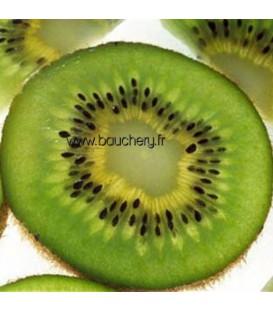 Actinidia - Kiwi Male
