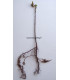 SORBUS domestica / CORMIER