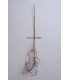 LABURNUM anagyroides / CYTISE