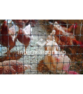 Grille de protection RECINGREEN HD