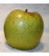 Pomme de l'Estre - Saint Germaine