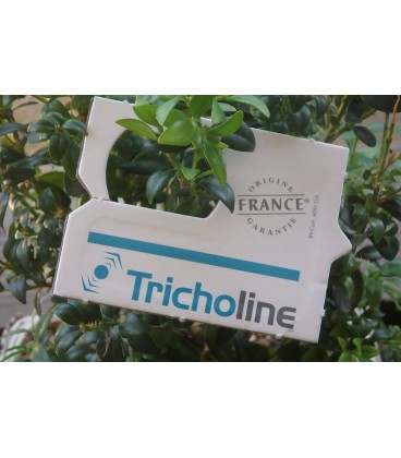Bon prépayé pour Tricholine Buxus 2x25