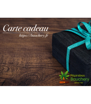 CARTE CADEAU