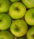Pommier Granny Smith
