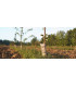 ECO PROTECT PLANT