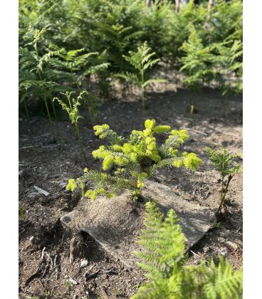 DALLES SOUPLES EN CHEVEUX ET LAINE