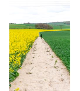 FEUTRE EN CHEVEUX ET LAINE