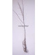 PRUNUS spinosa / EPINE NOIRE, PRUNELLIER