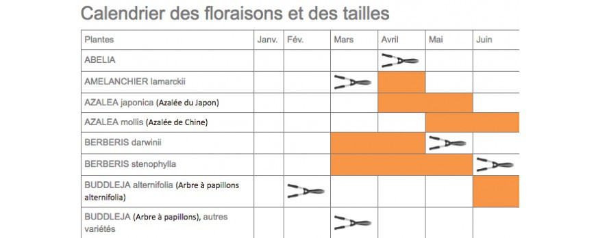 Calendrier de floraison et de taille