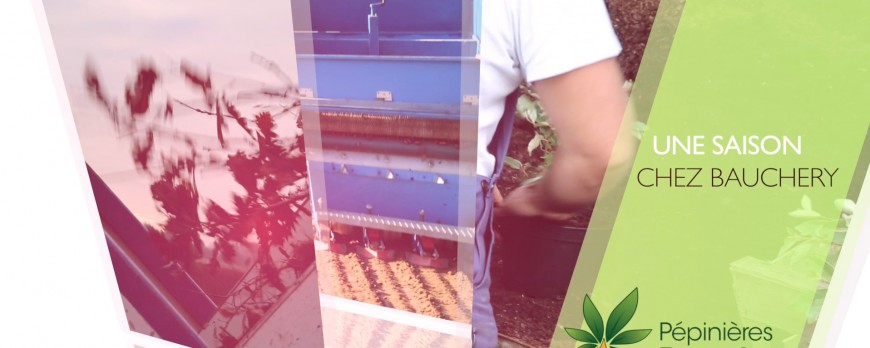 Une saison chez Bauchery : l'entreprise
