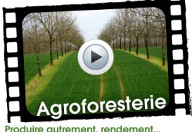 Agroforesterie