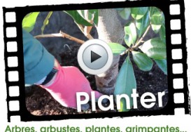 Planter