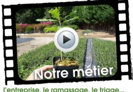 Notre métier