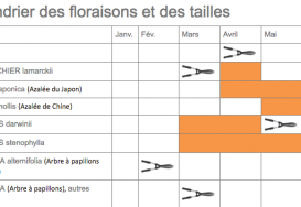 Calendrier de floraison et de taille